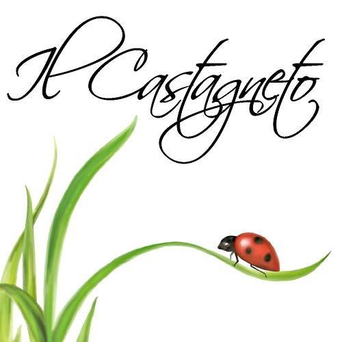 Agriturismo Il Castagneto 01
